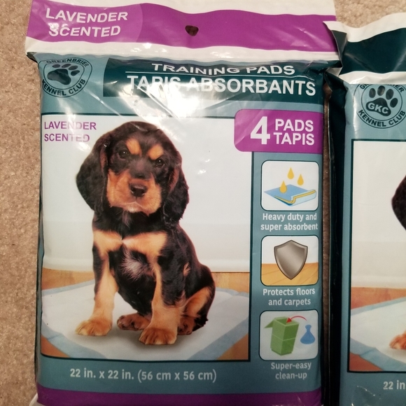 Dog Leash & Training Pads - Picture 4 of 5